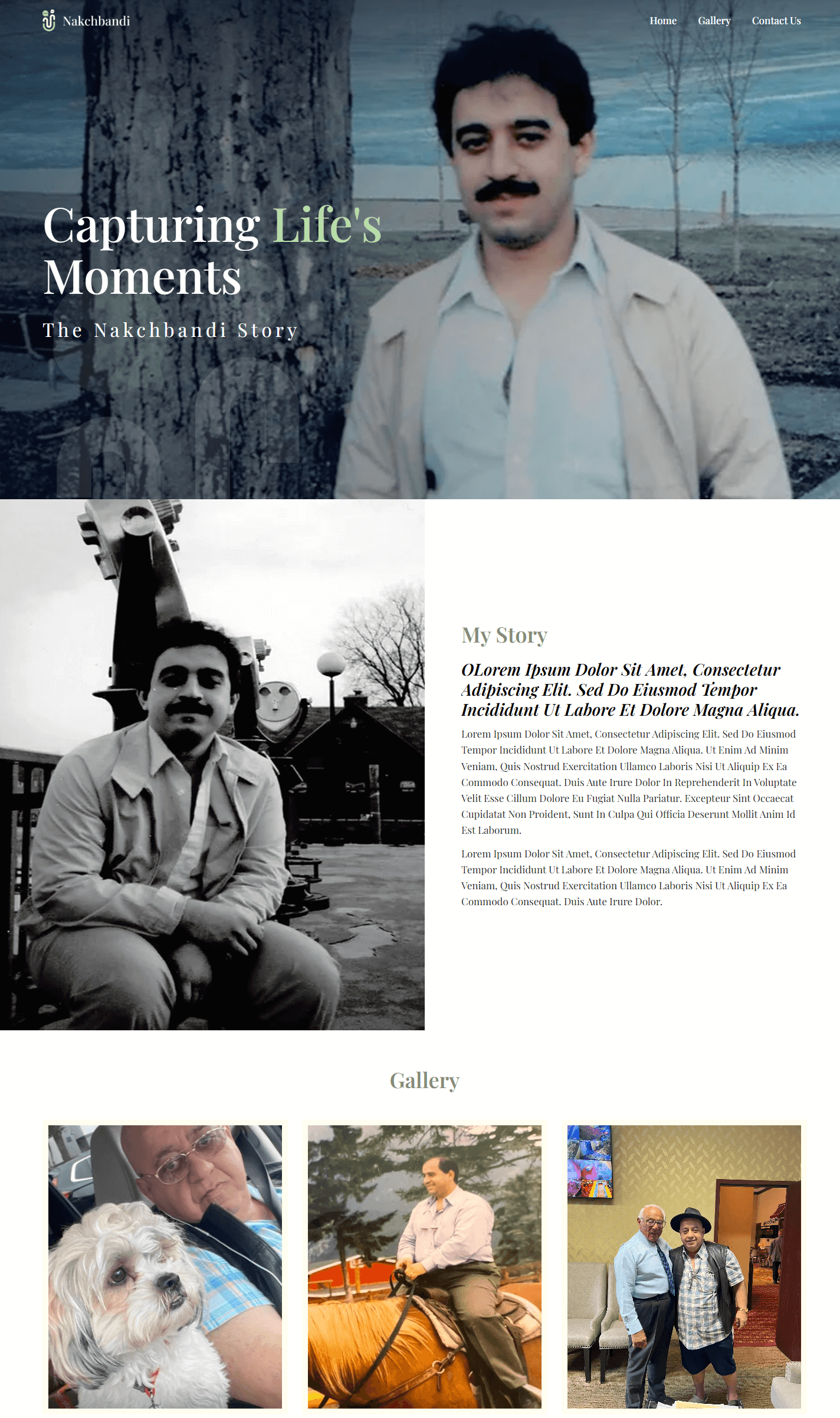 portfolio-image